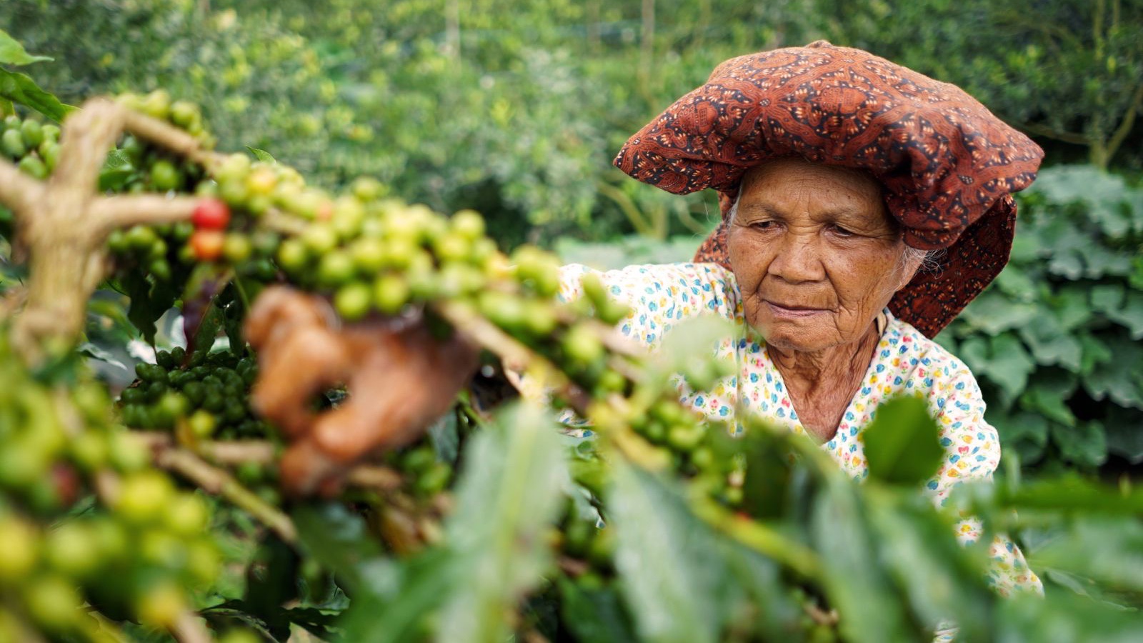 Igloo taps new insurance market: coffee!