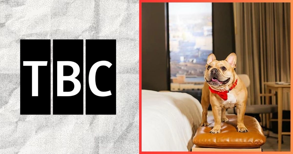Millennials Are Booking Hotels for Their Pets Before Themselves