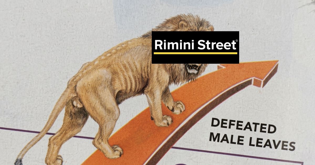 Rimini Street waves white flag in bruising Oracle courtroom showdown